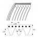 Curea poly-V profil J lungime 559mm latime 28mm 12 caneluri 